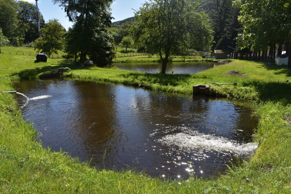 Pisciculture du Breuchin