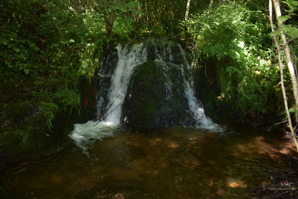 Pisciculture du Breuchin